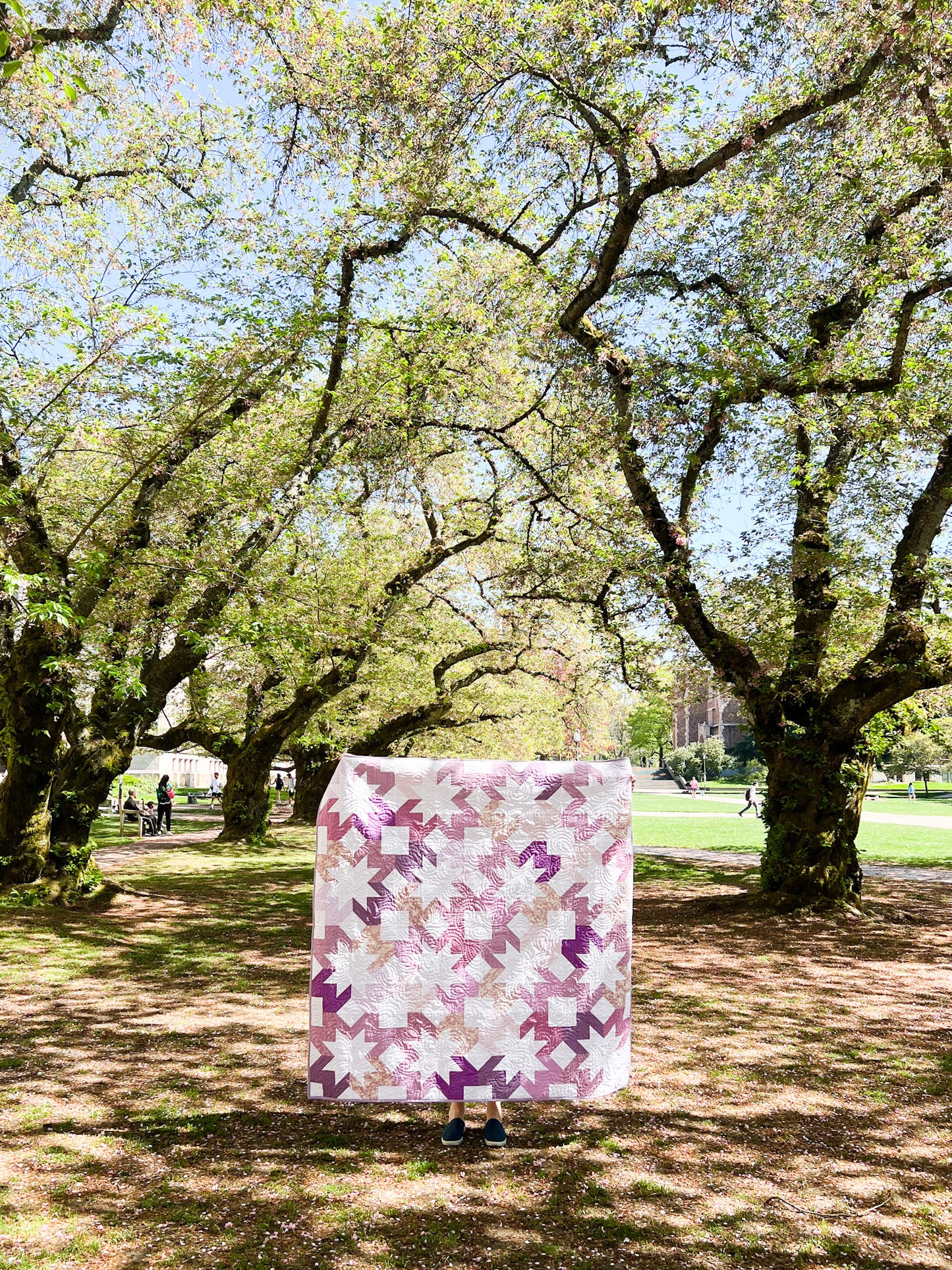 Starlight Quilt - Set of 5