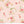 Between the Pages - Main in Ballerina by the 1/2 yard