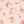 Between the Pages - Main in Ballerina by the 1/2 yard