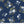 Between the Pages - Main in Navy by the 1/2 yard