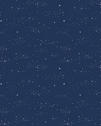 Between the Pages - Starlight in Navy by the 1/2 yard