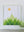 Cascades Quilt Pattern
