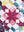 Star Struck Quilt Pattern