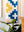 Andes Ode Quilt Pattern