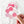 Hexie Blooms Sticker