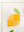 Memi's Lemons Quilt Pattern