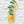 Memi's Lemons Sticker