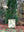Tree Farm Quilt Pattern